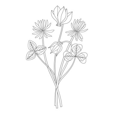 Yonca ve siklamenli kır çiçeği buketi. Çayır çiçekleri ve yabani bitkiler. Çizgi sanatı, asgari tarz, dış hatlar. Tasarım projeleri için botanik el yapımı elementler. Vektör illüstrasyonu