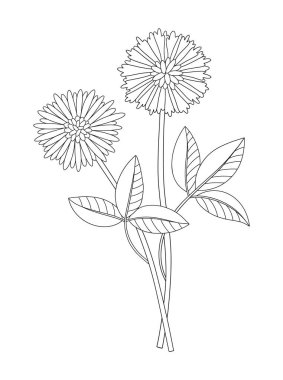 Yapraklı iki çiçek demeti. Bir buket çiçekli yaban bitkisi. Çizgi sanatı, asgari tarz, dış hatlar. Tasarım projeleri için botanik el yapımı elementler. Vektör illüstrasyonu