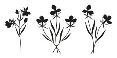 Üç buket egzotik çiçek seti. Yaprakları olan, çok uzun ömürlü yabani bitkiler sürüsü. Çok az sayıda. Tasarım projeleri için botanik el yapımı elementler. Vektör illüstrasyonu