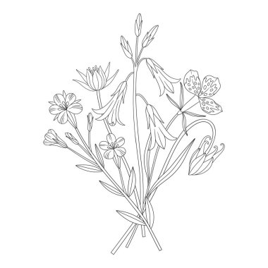 Çan çiçekli kır çiçeği buketi, farklı çayır çiçekleri ve çiçek açan yabani bitkiler. Çizgi sanatı, asgari tarz, dış hatlar. Tasarım projeleri için botanik el yapımı elementler. Vektör illüstrasyonu