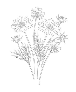 Yapraklı bir buket kozmea çiçeği. Bir avuç bitkisel hayatta kalmış yabani bitki. Çizgi sanatı, asgari tarz, dış hatlar. Tasarım projeleri için botanik el yapımı elementler. Vektör illüstrasyonu