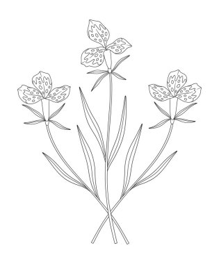 Yapraklı üç egzotik çiçek buketi. Bir demet bitkisel çiçek, yaban çiçeği. Çizgi sanatı, asgari tarz, dış hatlar. Tasarım projeleri için botanik el çizimi öğeleri. Vektör illüstrasyonu