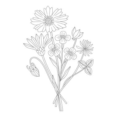 Kozmos, yonca ve diğerleri ile yabani çiçek buketi. Çayır çiçekleri ve yabani bitkiler. Çizgi sanatı, asgari tarz, dış hatlar. Tasarım projeleri için botanik el yapımı elementler. Vektör illüstrasyonu