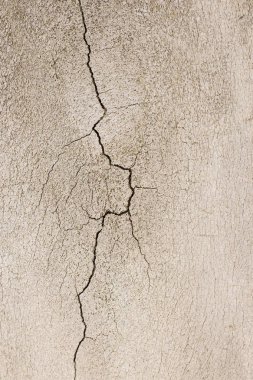 Close-up photography of crack on the bone  clipart
