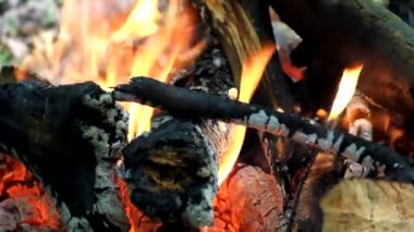 Ormandaki şenlik ateşi. Yangın alevleri yalamak firewoo