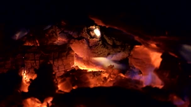 Tűz Éjszakában Egy Éjszaka Máglya Lángja Lassan Nyalogatja Tűzifa — Stock videók