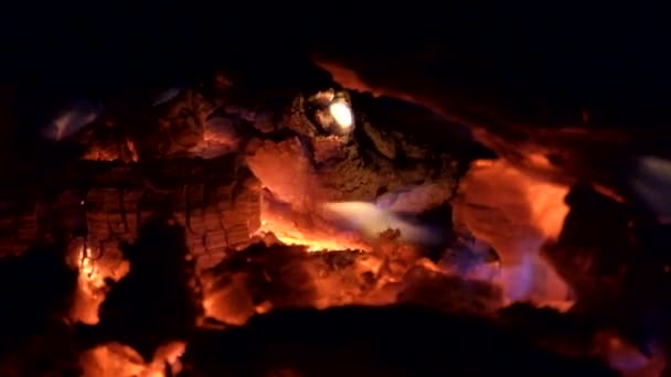 Fogo Noite Chama Uma Fogueira Noturna Lentamente Lambe Lenha — Vídeo de Stock