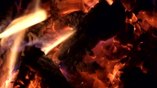 Night Fire Burning Bonfire Red Hot Coals Close — Stock Video