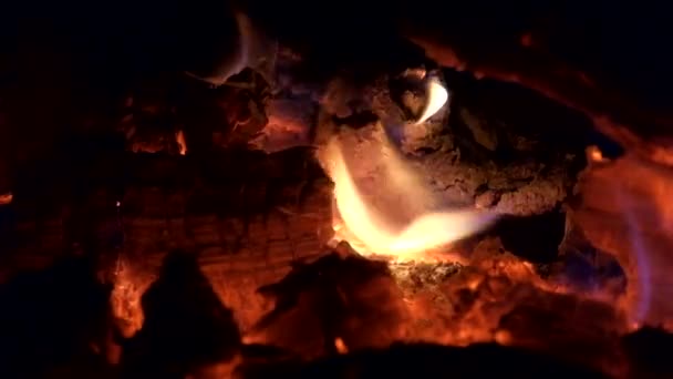 Nuit et feu. La flamme d'un feu nocturne lèche lentement le bois de chauffage 