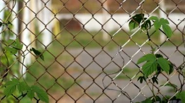 Ortak hop çelik tel örgü yapılan eski çit dolaşık
