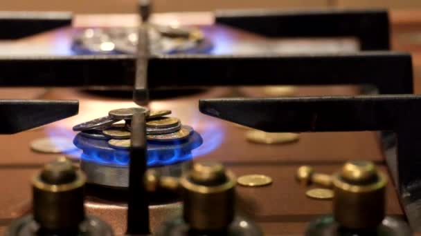 Peníze Vypálit Modrý Plamen Plynového Hořáku Kolik Stojí Plyn Tarify — Stock video