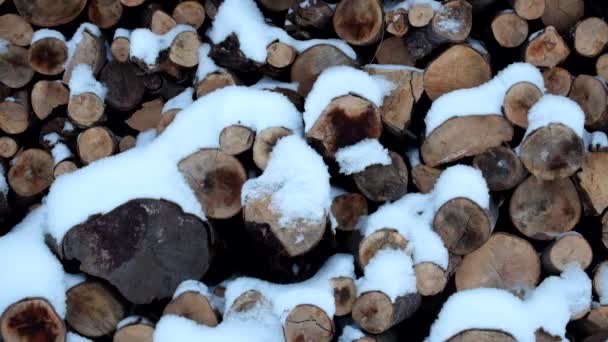 Het Sneeuwt Langzaam Die Betrekking Hebben Logs Met Een Witte — Stockvideo