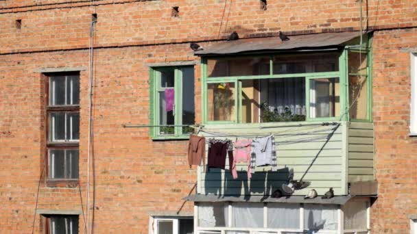 Pombos correndo na varanda de um antigo prédio de apartamentos de tijolo — Vídeo de Stock