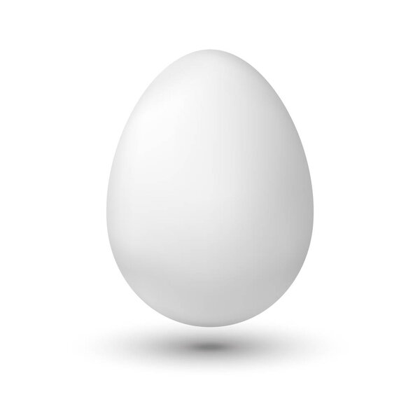 White chicken egg on white background