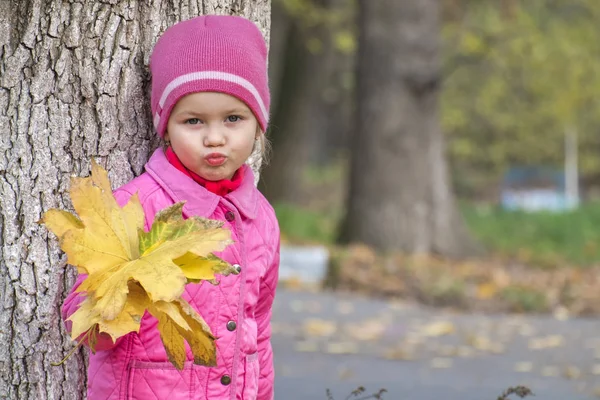 Маленькая Девочка Букетом Осенних Листьев Сложила Губы Форме Поцелуя — стоковое фото