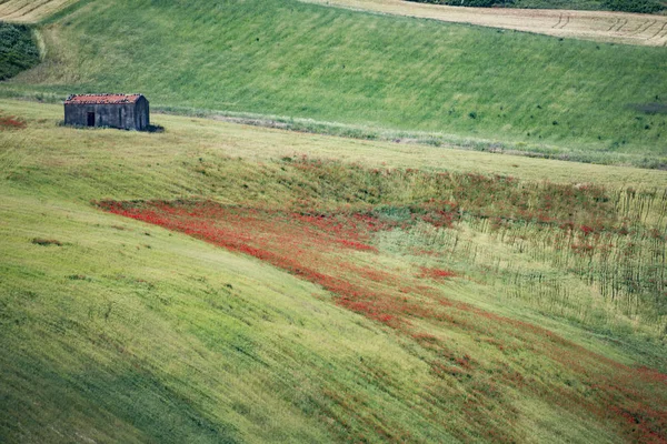 Barevná Krajina Jižní Itálii Době Jarní — Stock fotografie