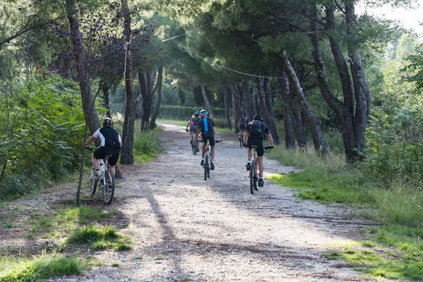 Bikes ride in a path inside a Forest in Italy