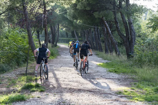 Ποδήλατα ride σε μια διαδρομή μέσα σε δάσος στην Ιταλία Εικόνα Αρχείου