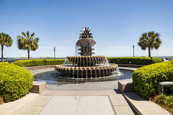 De ananas water fontein Charleston South Carolina, Verenigde Staten — Stockfoto