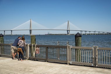 Ravenel Köprüsü, su Charleston, Sc görüldüğü gibi