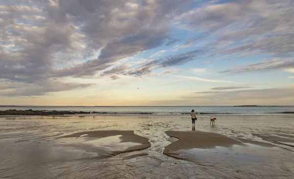 Mujer con su perro pasea por la playa en Maine EE.UU. —  Fotos de Stock