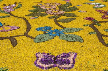 Cusano Mutri, Italya 'nın smal köyünde çiçek dekorasyonu