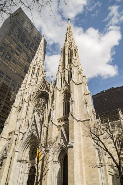 Manhattan, New York'ta gün ışığı altında St Patrick Katedrali.