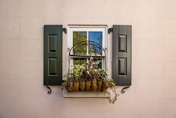 Boîte à fleurs dans le centre historique de Charleston, Caroline du Sud — Photo