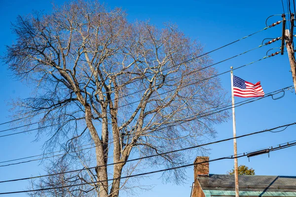 Bandeira Americana Uma Árvore Fundo Céu Azul Maine — Fotografia de Stock