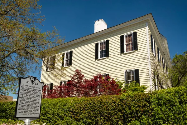 Charleston, Güney Carolina, ABD 'deki tarihi şehir merkezi renkli binalar
