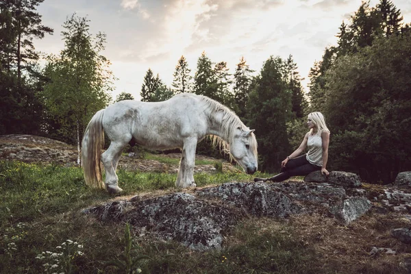 Girl Horse Norway — Stock Photo, Image