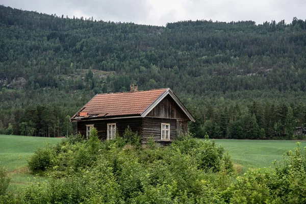 挪威的西边 — 图库照片