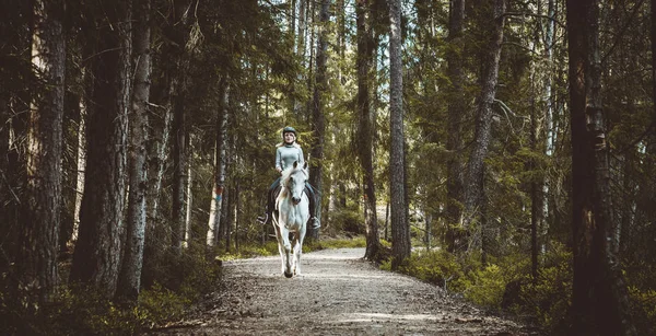 Horseback Riding Nesodden Norway — Stock Photo, Image