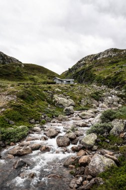 Norveç'in Batı Yakası