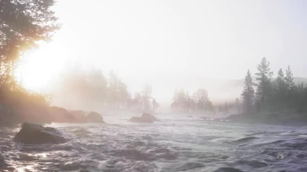 Misty Manhã Sul Noruega — Vídeo de Stock