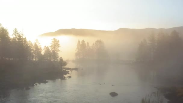 Misty Morning South Norway — Stock Video