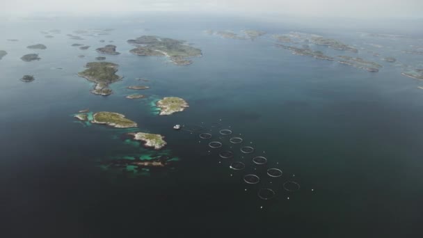 Fish Farming Oceano Ártico — Vídeo de Stock