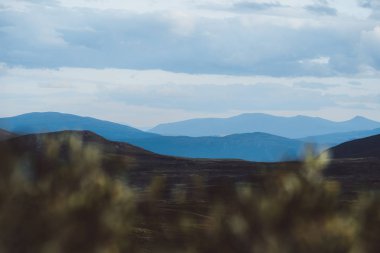 Dovrefjell dağ alan Norveç'te