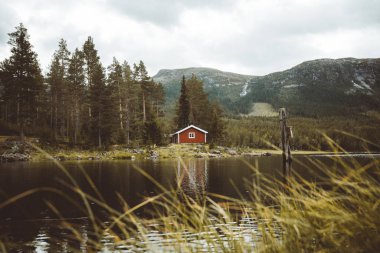 Güney Norveç Vassfaret ormanda