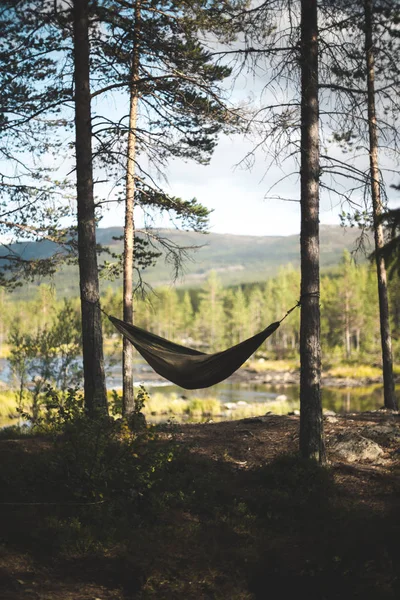 Hamac Dans Forêt Profonde — Photo