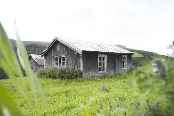 Cabin Elhagyott Finndalen Völgyben Dél Norvégia — Stock Fotó