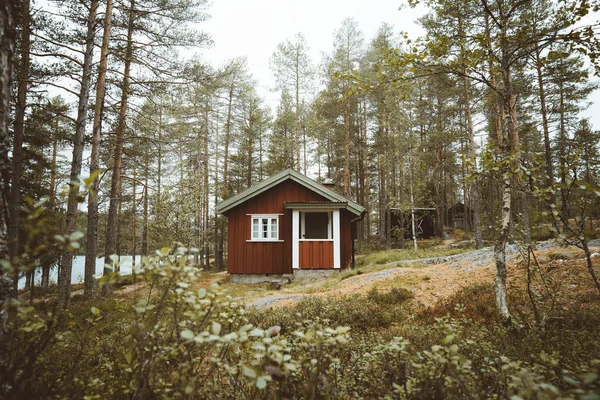 Cabine Floresta Vassfaret Sul Noruega — Fotografia de Stock