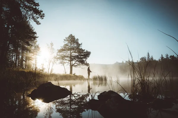 Derin orman puslu sabah