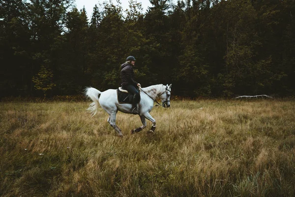 少女と森の中の彼女の馬 — ストック写真