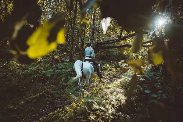 Girl Her Horse Forest — Stock Photo, Image