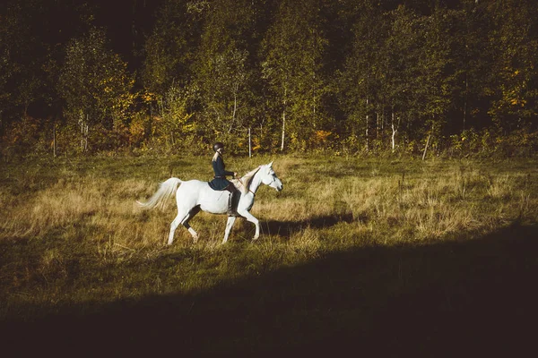 Dívka Její Bílý Kůň Poli — Stock fotografie