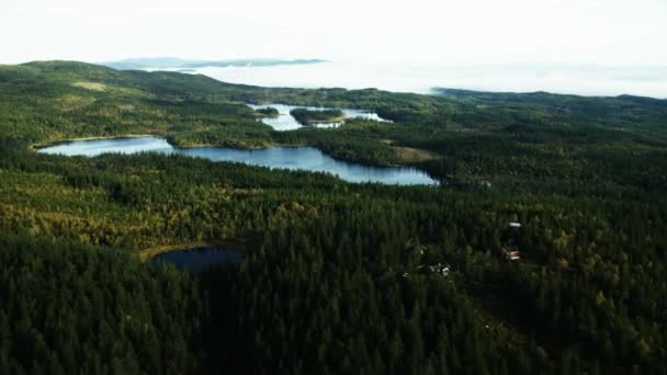 从空气中看到的绿色森林 — 图库视频影像