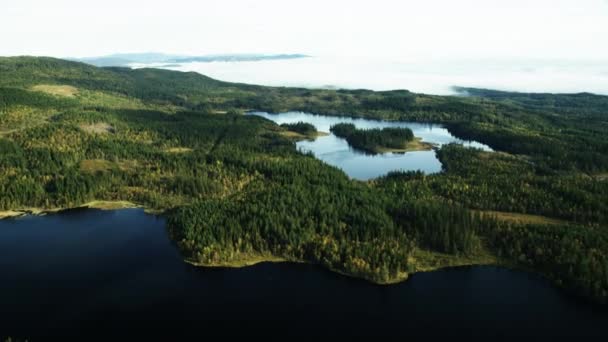 从空气中看到的绿色森林 — 图库视频影像