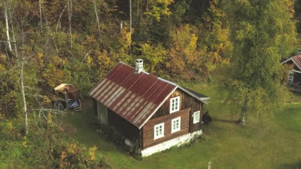 Stuga Djupt Vildmarken Skogen — Stockvideo