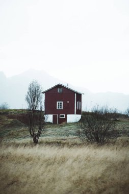 Doğa Kuzey Norveç'te Andoya Adası'nda